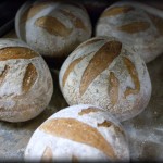 Artisan Bread