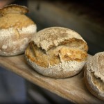 Artisan Bread