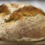 Artisan Bread